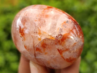 Polished Mix of Selected Galet-Palm Stones x 20 From Madagascar