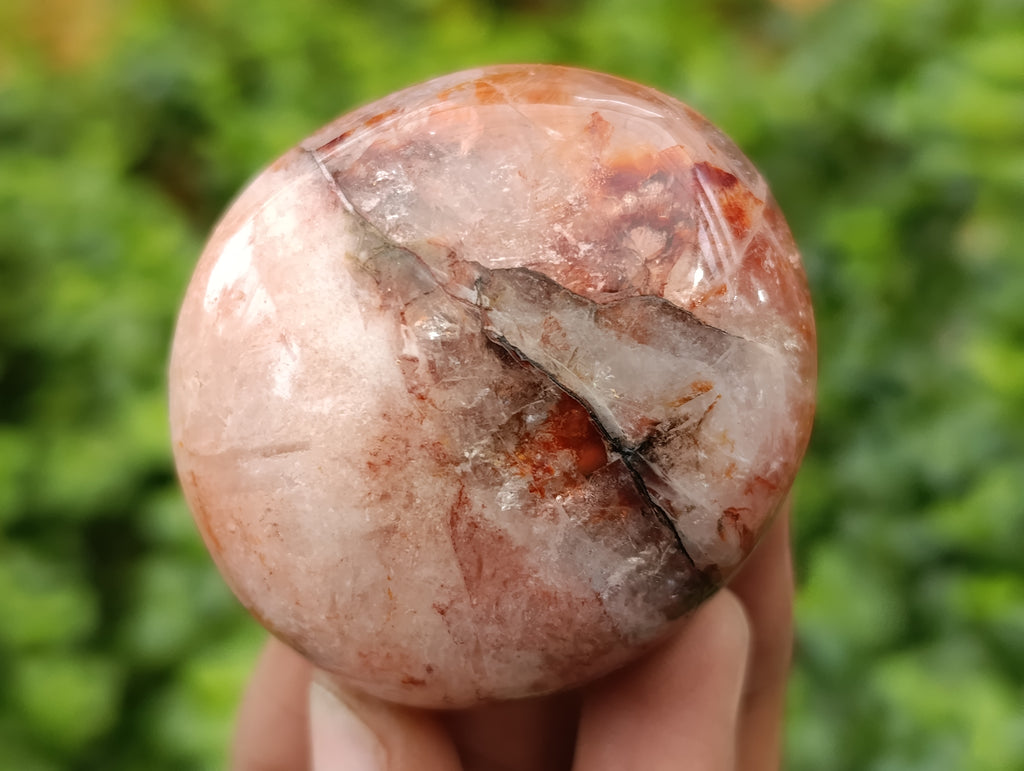 Polished Mix of Selected Galet-Palm Stones x 20 From Madagascar - Toprock Gemstones and Minerals 