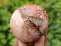 Polished Mix of Selected Galet-Palm Stones x 20 From Madagascar