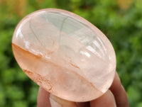 Polished Mix of Selected Galet-Palm Stones x 20 From Madagascar