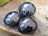 Polished Mix of Selected Galet-Palm Stones x 20 From Madagascar