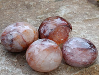 Polished Mix of Selected Galet-Palm Stones x 20 From Madagascar