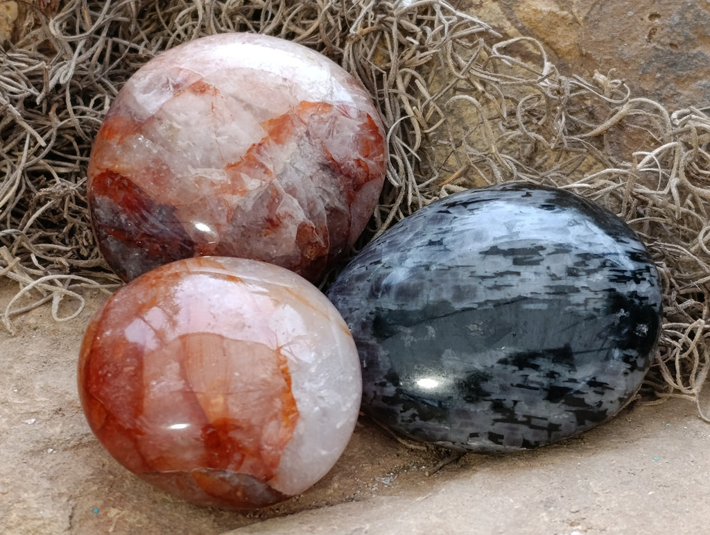 Polished Mix of Selected Galet-Palm Stones x 20 From Madagascar - Toprock Gemstones and Minerals 