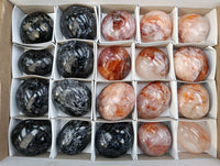 Polished Mix of Selected Galet-Palm Stones x 20 From Madagascar