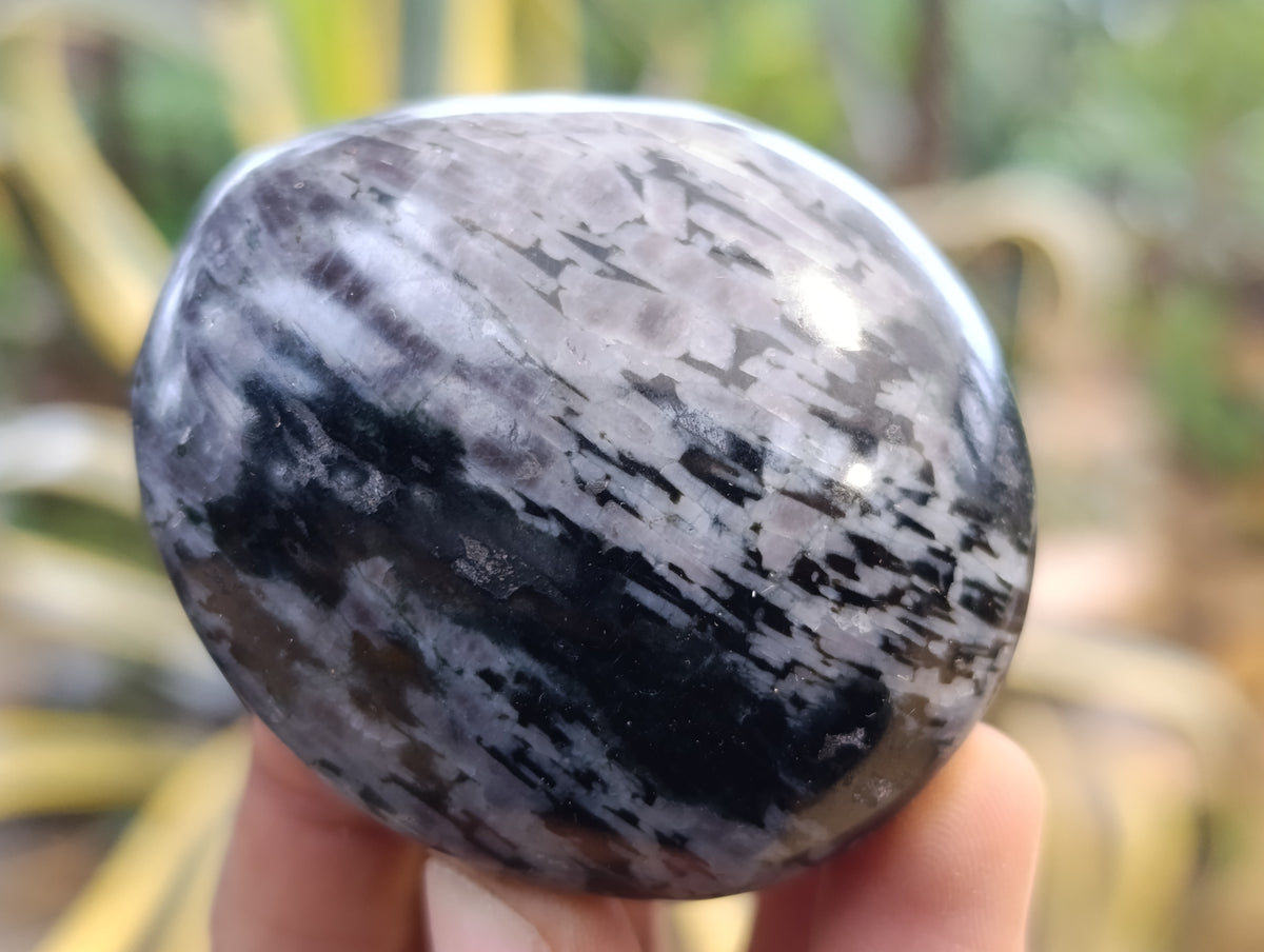 Polished Mix of Selected Galet-Palm Stones x 20 From Madagascar - Toprock Gemstones and Minerals 