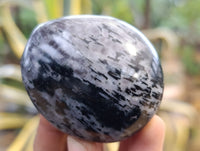 Polished Mix of Selected Galet-Palm Stones x 20 From Madagascar