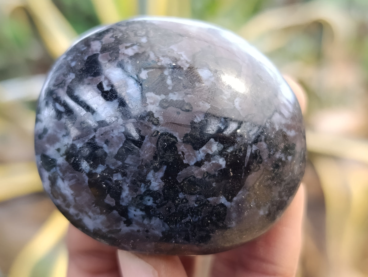 Polished Mix of Selected Galet-Palm Stones x 20 From Madagascar - Toprock Gemstones and Minerals 