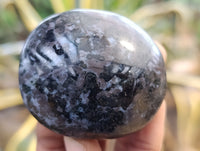 Polished Mix of Selected Galet-Palm Stones x 20 From Madagascar