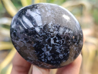 Polished Mix of Selected Galet-Palm Stones x 20 From Madagascar