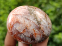 Polished Mix of Selected Galet-Palm Stones x 20 From Madagascar