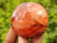 Polished Mix of Selected Galet-Palm Stones x 20 From Madagascar