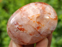 Polished Mix of Selected Galet-Palm Stones x 20 From Madagascar