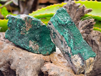 Natural Crystalline Botryoidal Malachite Specimens x 12 From Tenke Fungurume, Congo
