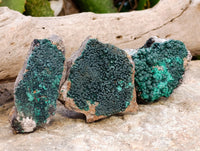 Natural Crystalline Botryoidal Malachite Specimens x 12 From Tenke Fungurume, Congo