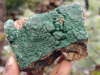 Natural Crystalline Botryoidal Malachite Specimens x 12 From Tenke Fungurume, Congo