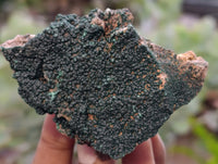 Natural Crystalline Botryoidal Malachite Specimens x 12 From Tenke Fungurume, Congo