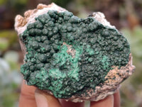 Natural Crystalline Botryoidal Malachite Specimens x 12 From Tenke Fungurume, Congo