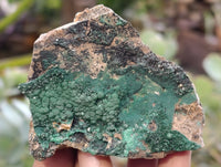 Natural Crystalline Botryoidal Malachite Specimens x 12 From Tenke Fungurume, Congo