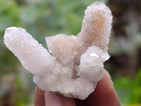 Natural Mix Cactus Flower Spirit Quartz Clusters x 35 From South Africa
