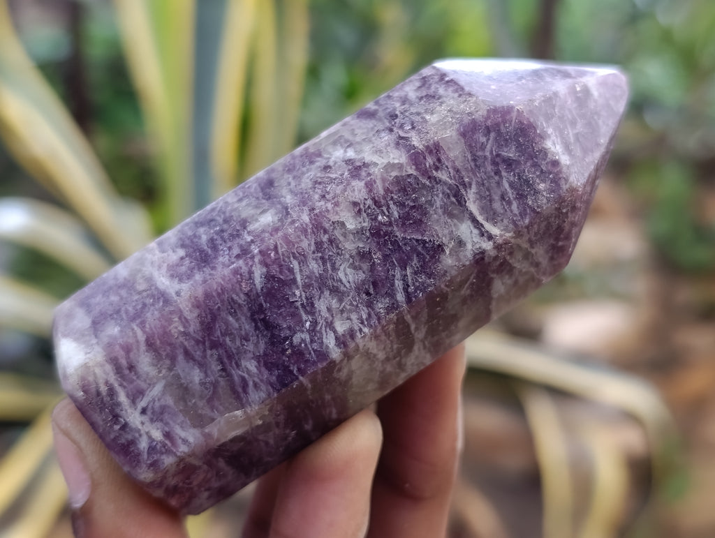 Polished Lepidolite with Pink Rubellite Points x 12 From Ambatondrazaka, Madagascar - Toprock Gemstones and Minerals 
