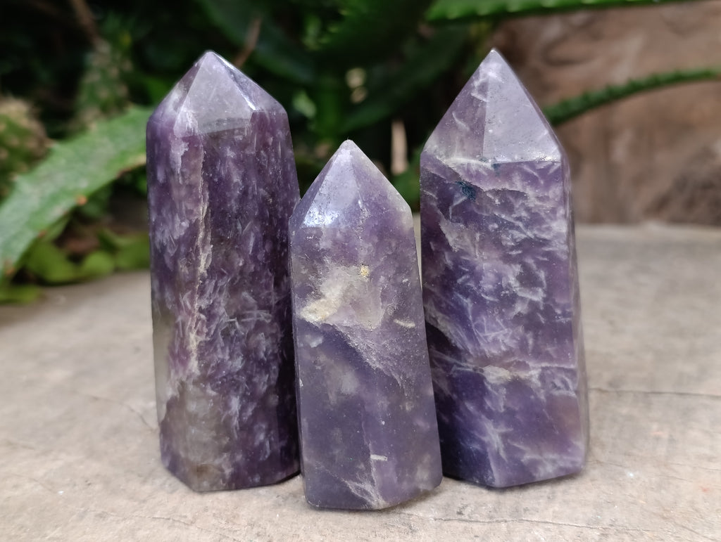 Polished Lepidolite with Pink Rubellite Points x 12 From Ambatondrazaka, Madagascar - Toprock Gemstones and Minerals 