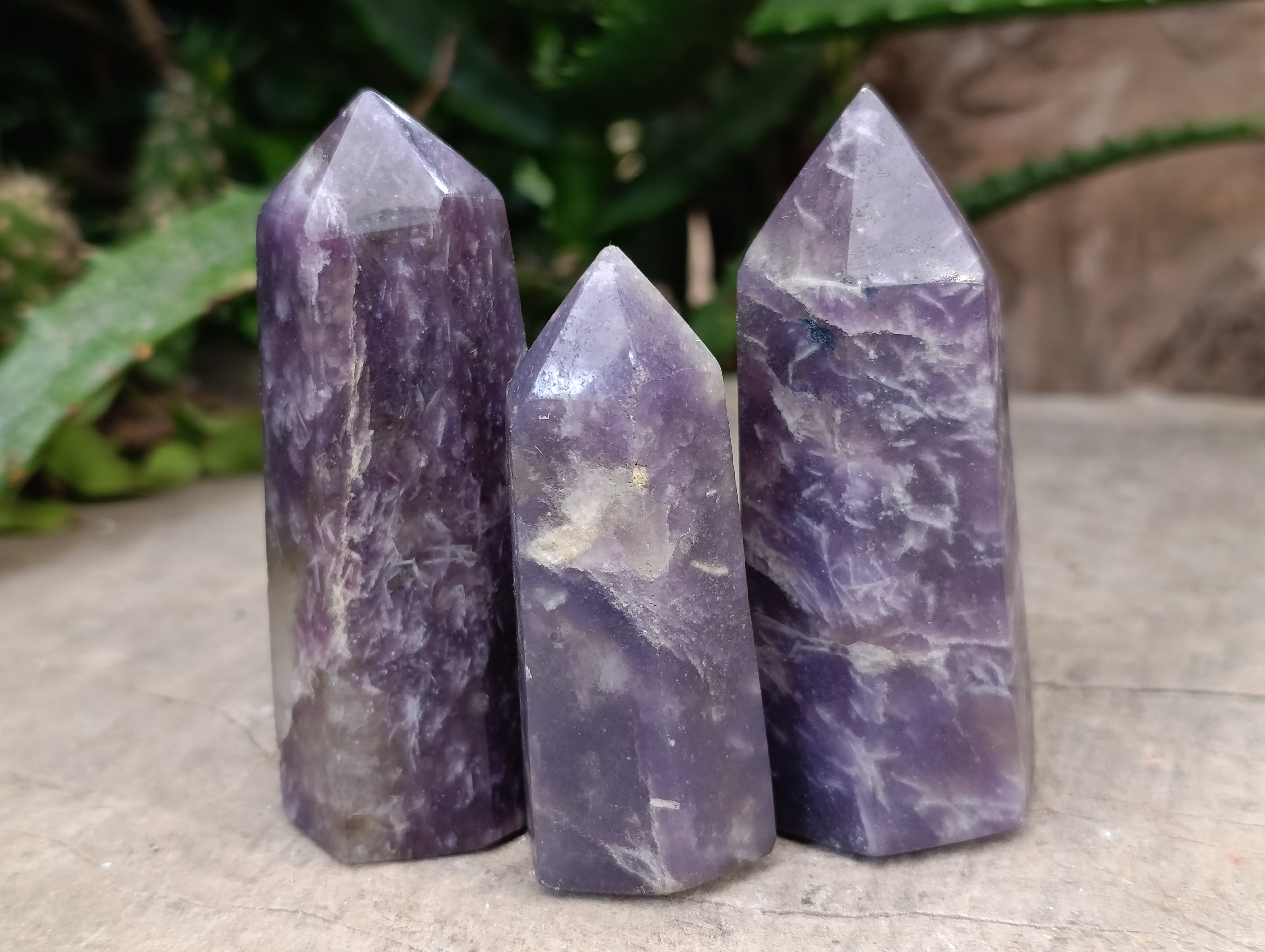 Polished Lepidolite with Pink Rubellite Points x 12 From Ambatondrazaka, Madagascar - Toprock Gemstones and Minerals 