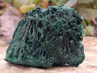 Natural Silky Malachite Specimens x 3 From Kasompe, Congo - Toprock Gemstones and Minerals 