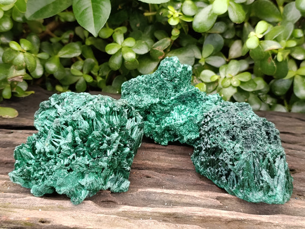 Natural Silky Malachite Specimens x 3 From Kasompe, Congo