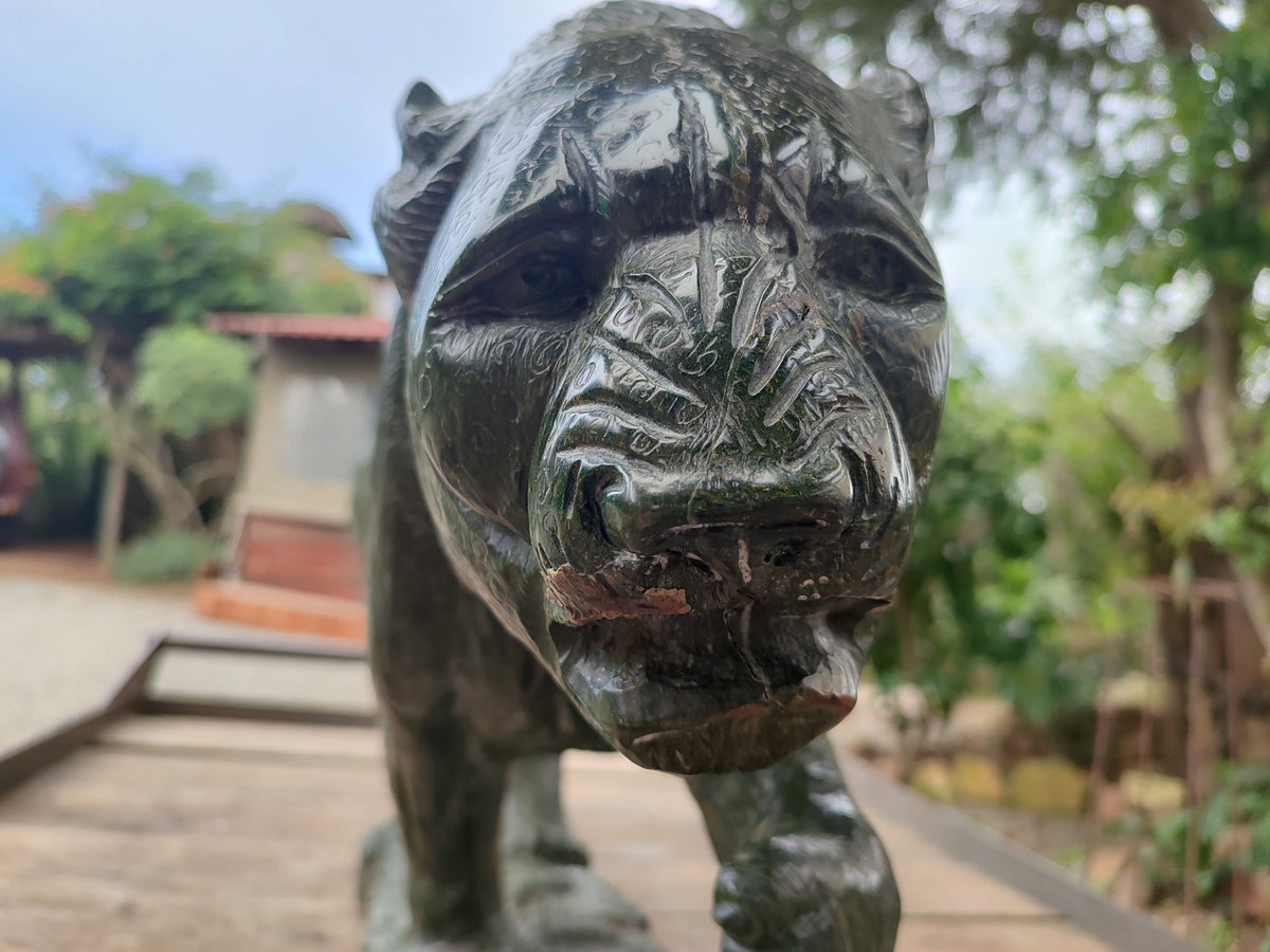 Hand Made Extra Large Green Verdite Lion Sculpture x 1 From Zimbabwe - Toprock Gemstones and Minerals 