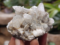 Natural Drusy Quartz Coated Calcite Pseudomorph Specimens x 12 From Alberts Mountain, Lesotho