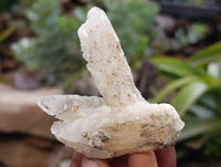 Natural Drusy Quartz Coated Calcite Pseudomorph Specimens x 12 From Alberts Mountain, Lesotho