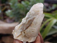 Natural Drusy Quartz Coated Calcite Pseudomorph Specimens x 12 From Alberts Mountain, Lesotho