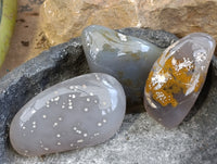 Polished Agate Free Forms x 24 From Madagascar