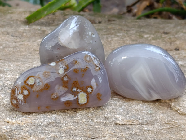 Polished Agate Free Forms x 24 From Madagascar