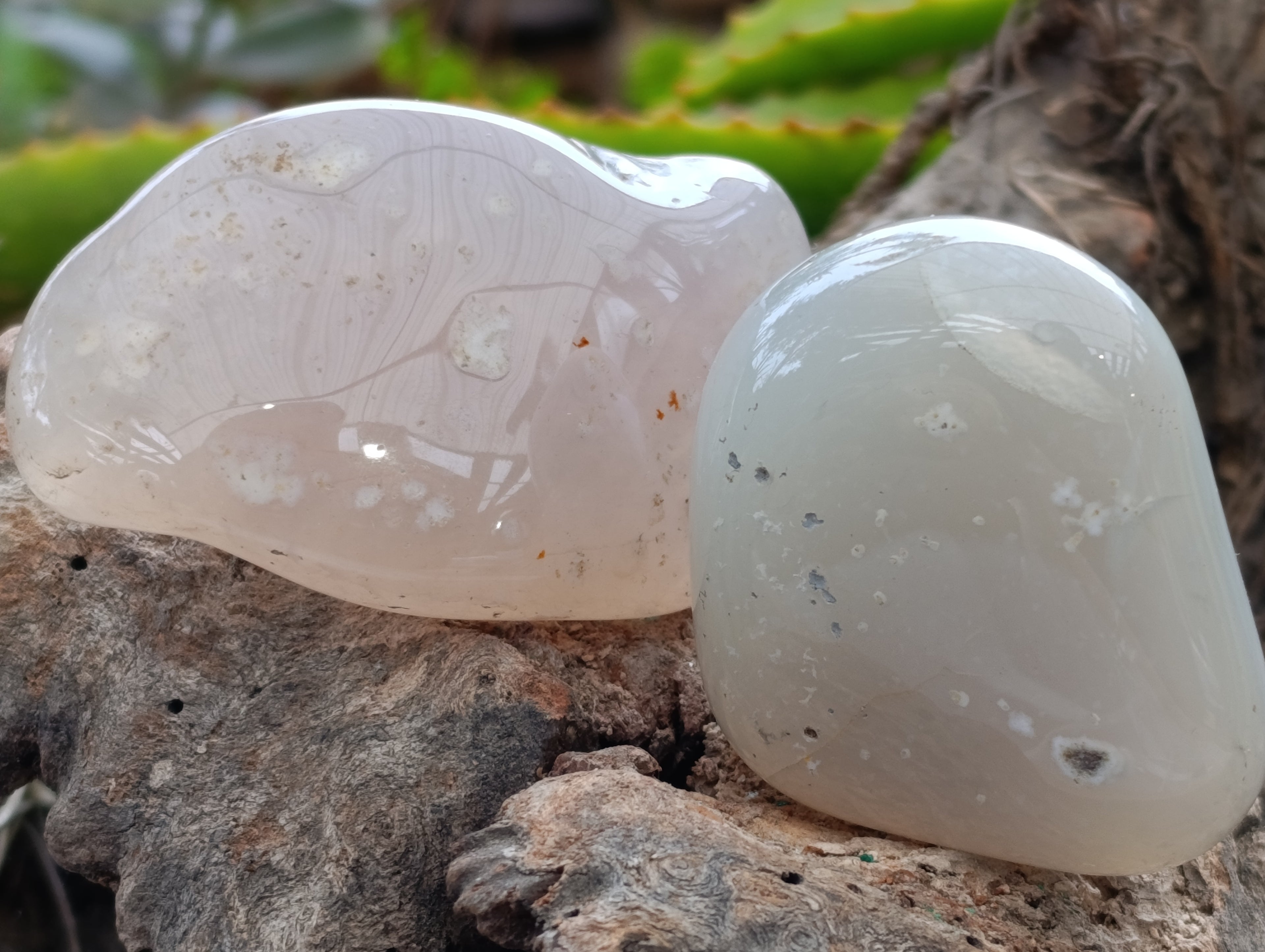 Polished Agate Free Forms x 24 From Madagascar - Toprock Gemstones and Minerals 