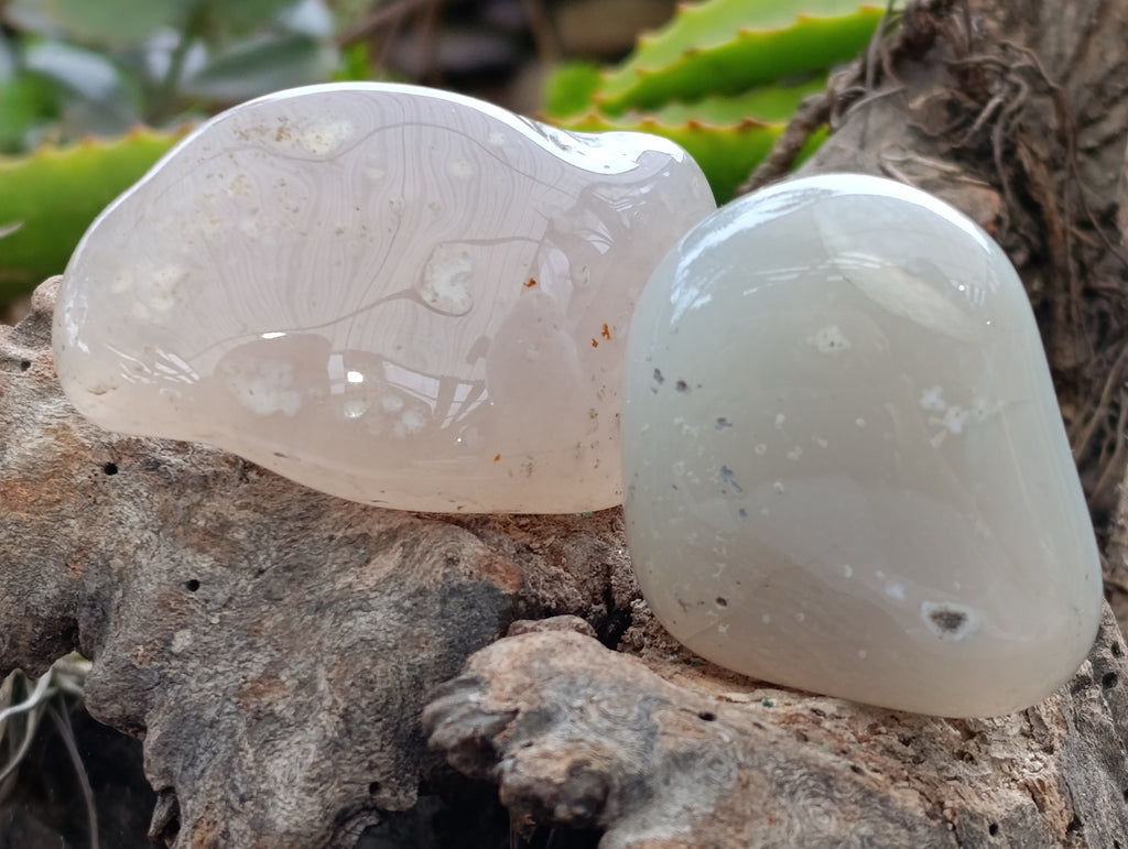 Polished Agate Free Forms x 24 From Madagascar - Toprock Gemstones and Minerals 