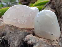 Polished Agate Free Forms x 24 From Madagascar