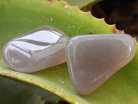 Polished Agate Free Forms x 24 From Madagascar