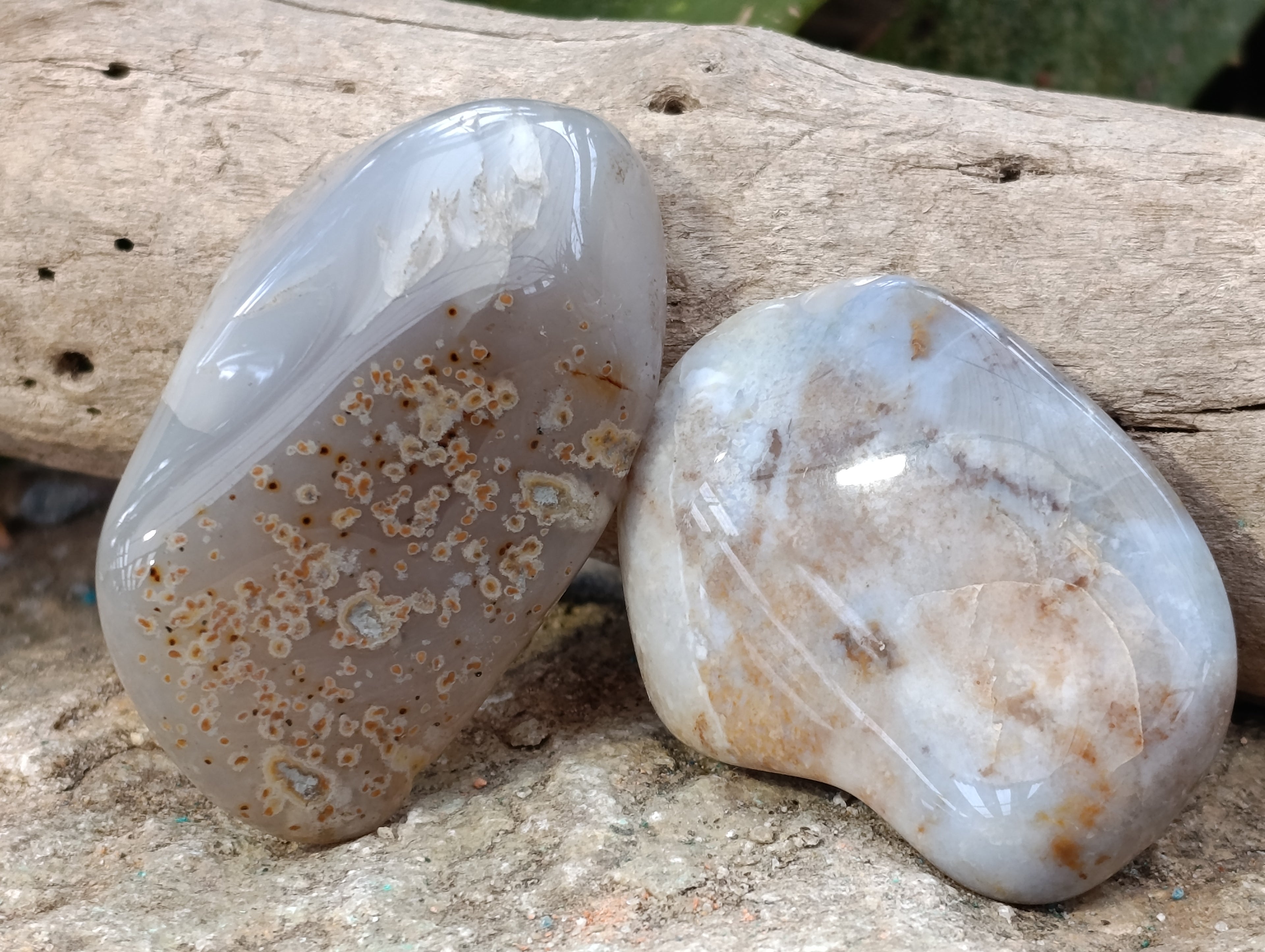 Polished Agate Free Forms x 24 From Madagascar - Toprock Gemstones and Minerals 