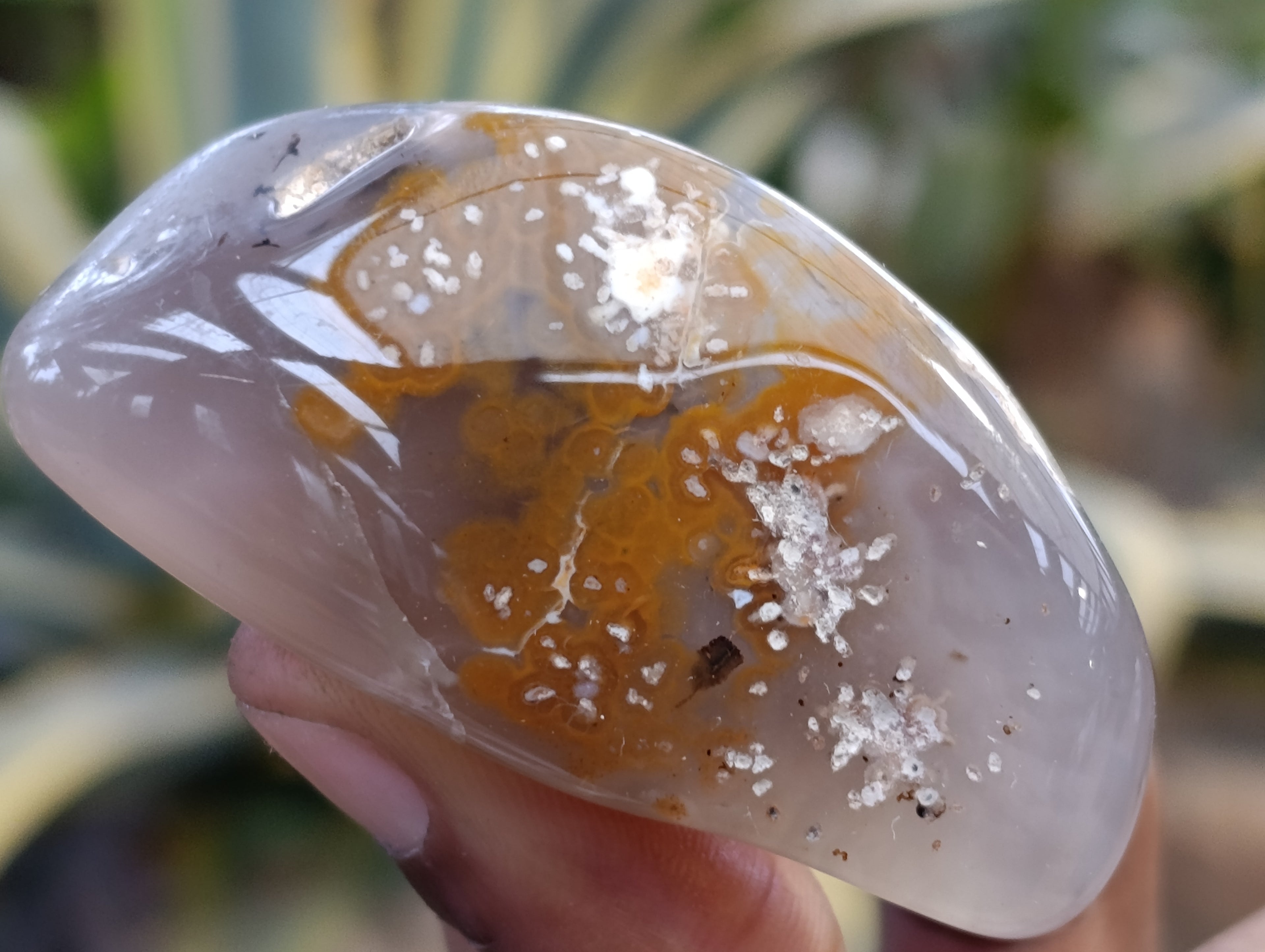 Polished Agate Free Forms x 24 From Madagascar - Toprock Gemstones and Minerals 