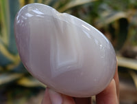 Polished Agate Free Forms x 24 From Madagascar