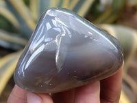 Polished Agate Free Forms x 24 From Madagascar