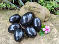 Polished Black Basalt Gemstone Eggs x 6 From Madagascar