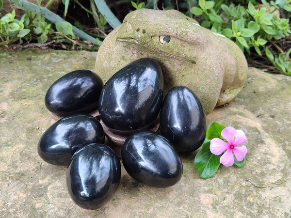 Polished Black Basalt Gemstone Eggs x 6 From Madagascar