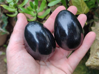 Polished Black Basalt Gemstone Eggs x 6 From Madagascar