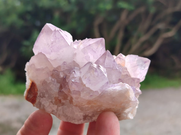 Natural Mixed Spirit Quartz Clusters x 6 From Boekenhouthoek, South Africa