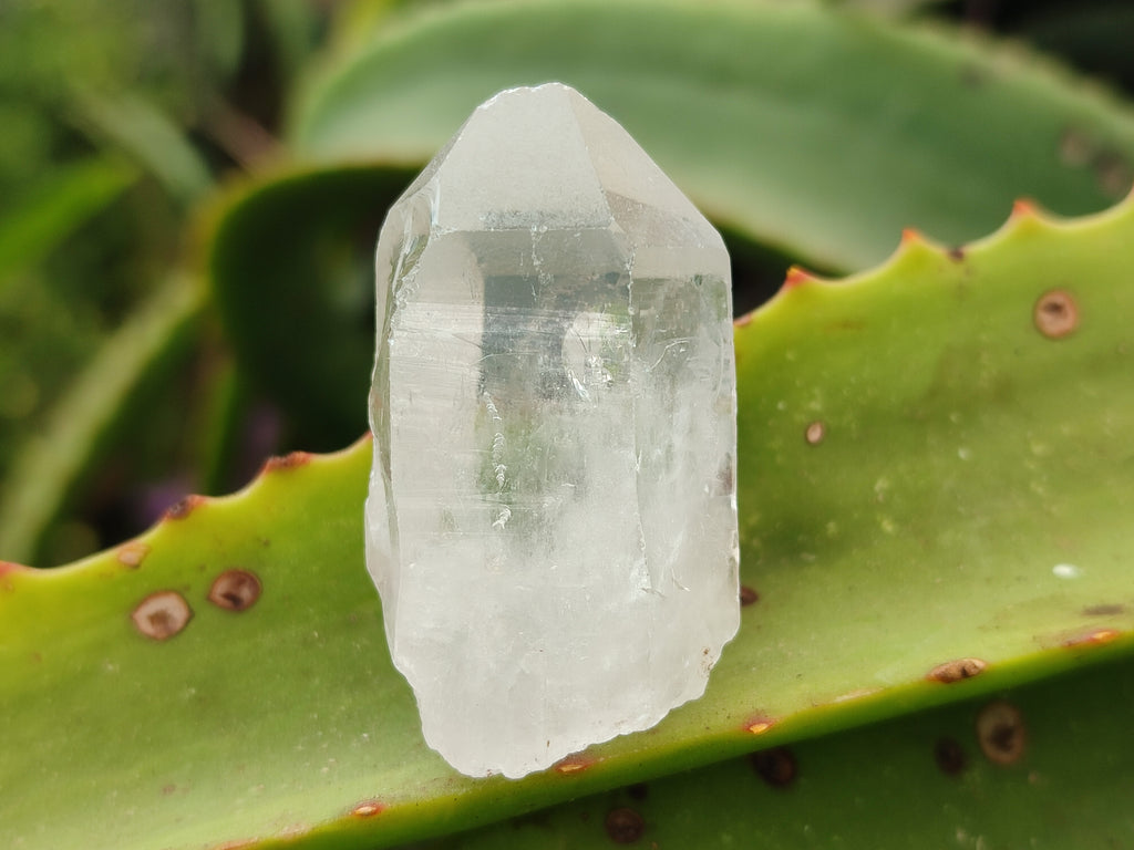 Natural Single Clear Quartz Crystals x 35 From Madagascar - Toprock Gemstones and Minerals 