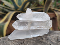 Natural Single Clear Quartz Crystals x 35 From Madagascar