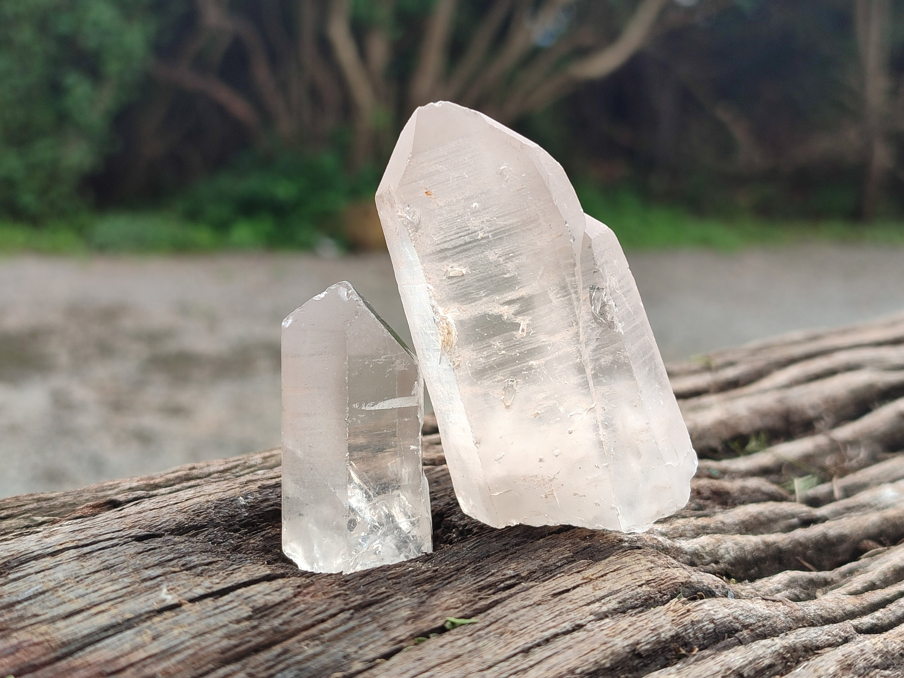 Natural Single Clear Quartz Crystals x 35 From Madagascar - Toprock Gemstones and Minerals 