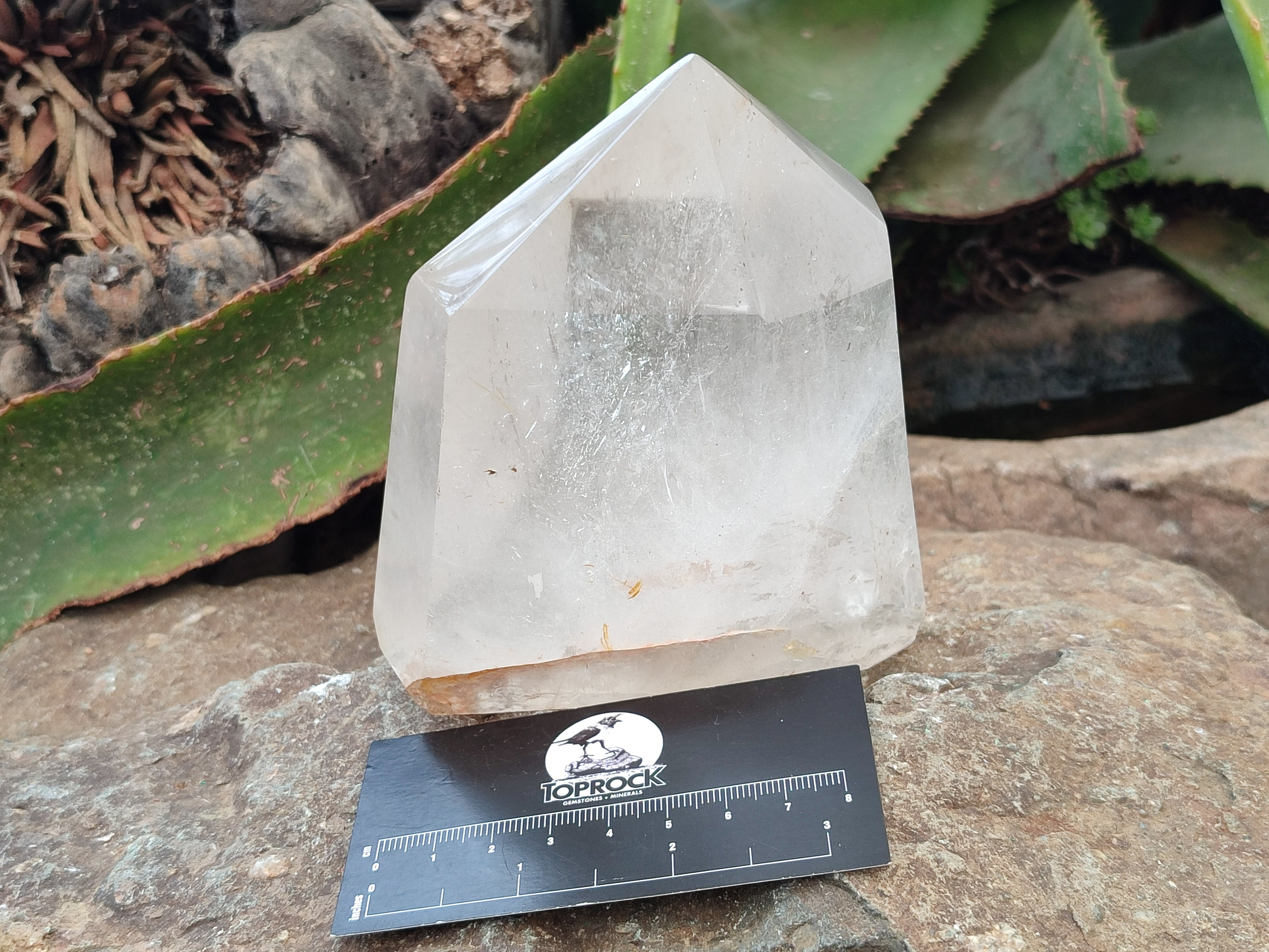 Polished Single Clear Quartz Crystal x 1 From Madagascar - Toprock Gemstones and Minerals 